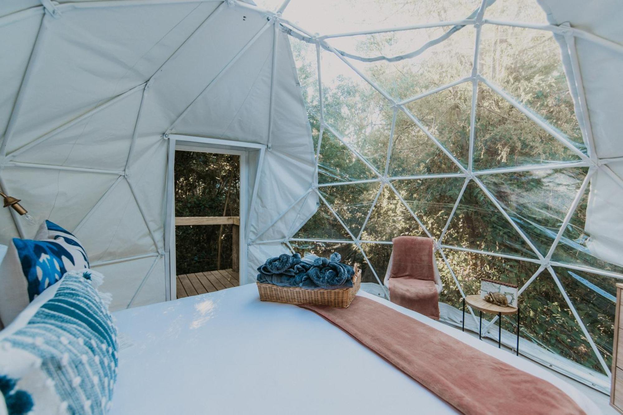 The Forest Dome Tsitsikamma Luxury tent *