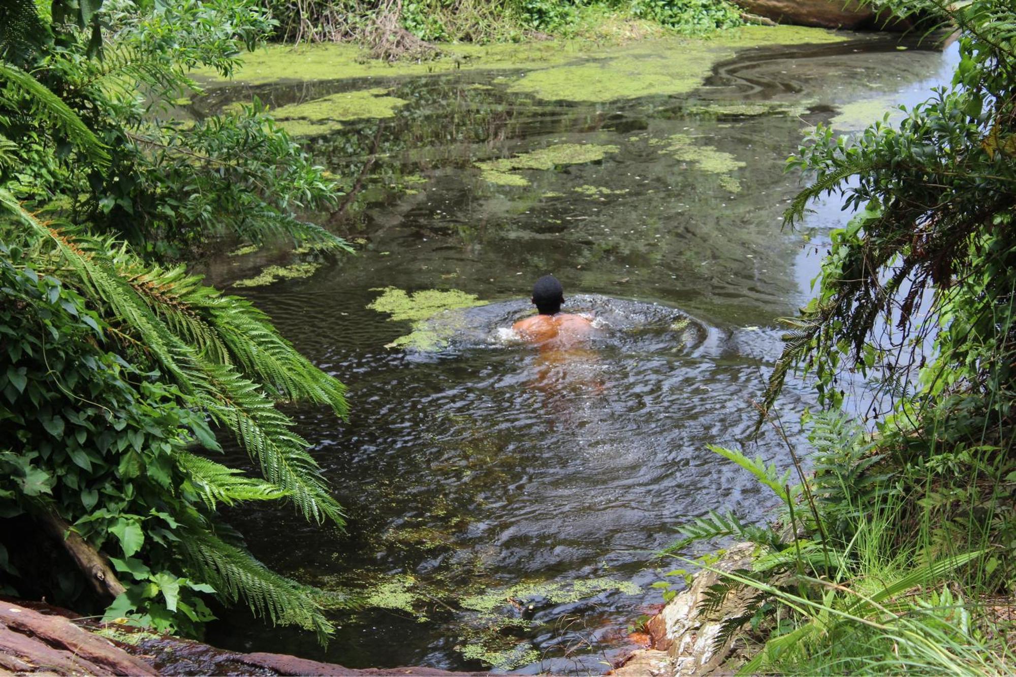 The Forest Dome Tsitsikamma