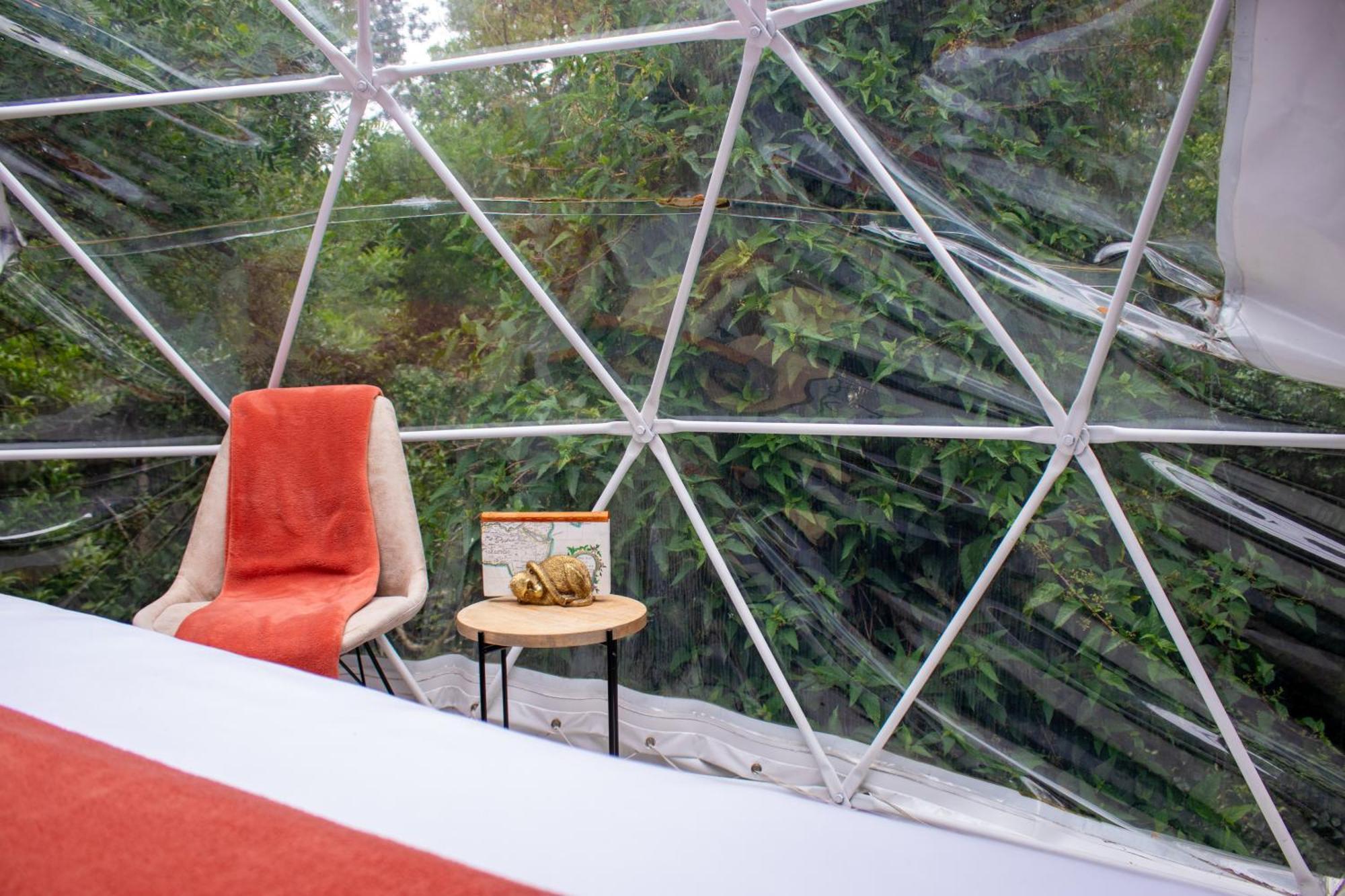 The Forest Dome Tsitsikamma